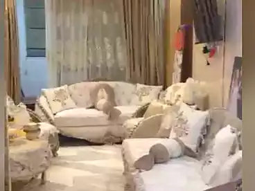 Apartments For sale in Nemat Allah St., El Mandara Bahri, 80 sqm
