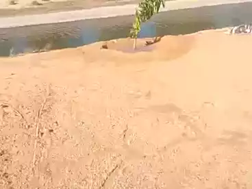 Land For sale in El Hamraa, Wadi El Natrun, 25200 sqm