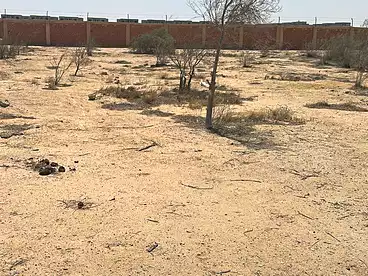 Land For sale in Riviera St., El Sheikh Zayed, 2000 sqm