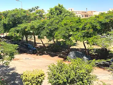 عقارات للإيجار في شارع الفريق عزيز المصري، النرجس 1، 175 متر