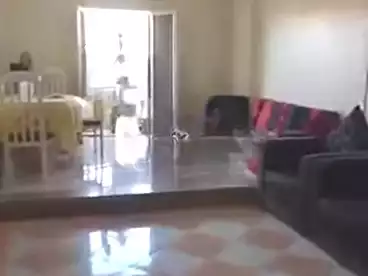شقق للبيع في المطبعة، فيصل، 150 متر