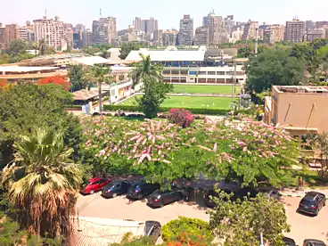 Properties For rent in Mohye El Din Abo El Ezz St., Dokki, 170 sqm