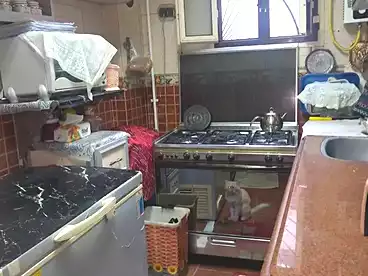 شقق للبيع في الحضره الجديده، الحضرة، 90 متر