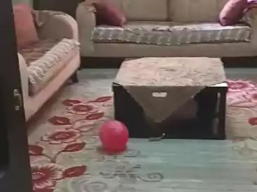 شقق للبيع في شارع أحمد عصمت، عين شمس، 120 متر