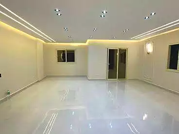 في شارع الجلاء، المنصوره، 62 متر