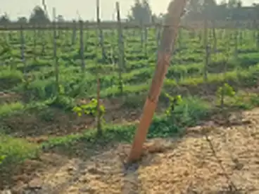 Farm For sale in Belbes City, Bilbeis, 16800 sqm