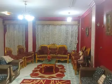 في تقسيم المعلمين، الزقازيق، 150 متر