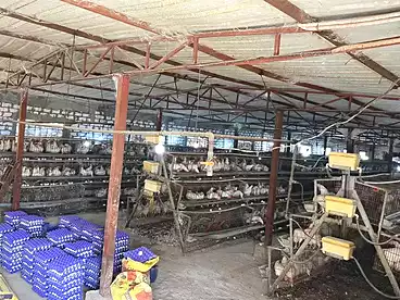 Commercial For rent in Al Ismaileya Road Port Saeed St., Ismailia City, 500 sqm