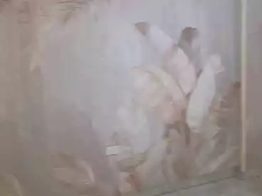 شقق للإيجار في النزهة الجديدة، النزهة، 160 متر