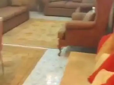 عقارات للبيع في شارع حسن محمد، فيصل، 100 متر