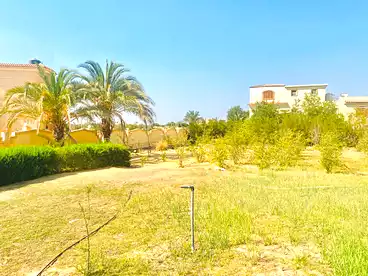 Land For sale in Ahmed Zaghloul St., El Mansuriyyah, 1400 sqm