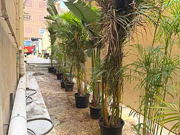 Building For rent in Building 342, El Banafsag Omarat, 371 sqm