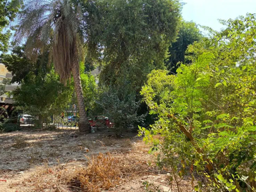 listing-image