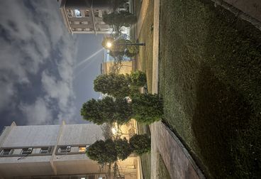 listing-image