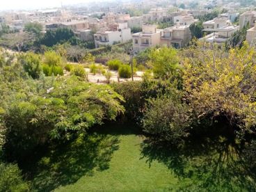 listing-image