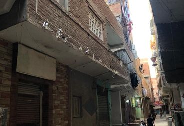listing-image