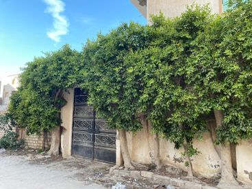 listing-image