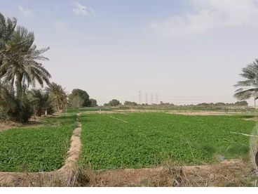 listing-image
