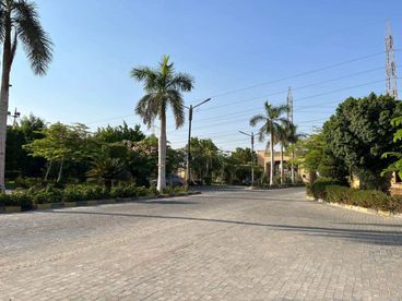 listing-image