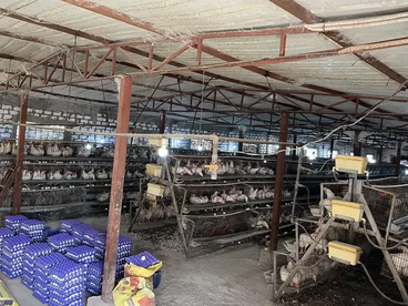 listing-image