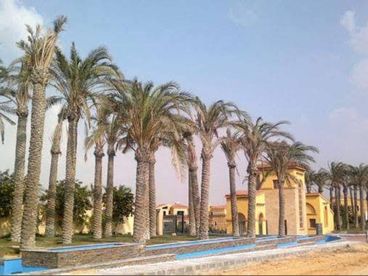 شقة بحديقة للبيع في Nest Cairo استلام فوري Katameya Gardens