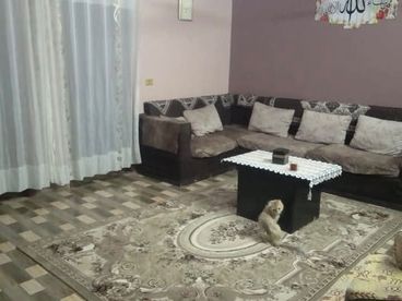 شقه للبيع بسعر لقطه115م