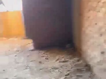 شقه للبيع ف فيصل 