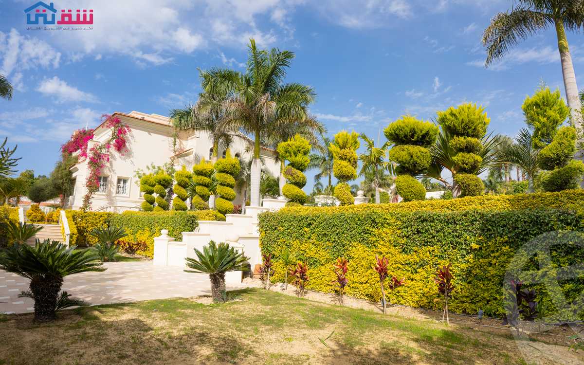 https://aqarmap.com.eg/ar/listing/4196581-for-sale-mohamed-rashid-st