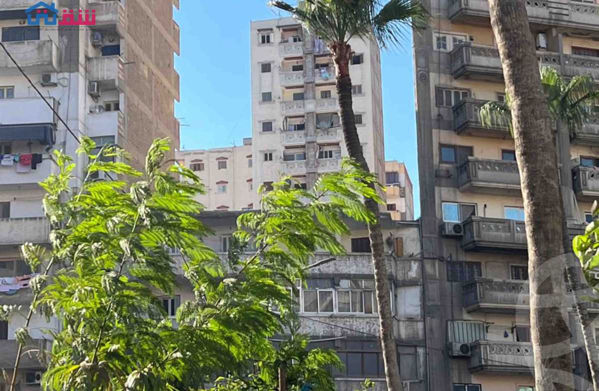 https://aqarmap.com.eg/en/listing/6543543-for-sale-alexandria-lsywf-amin-hassouna-st