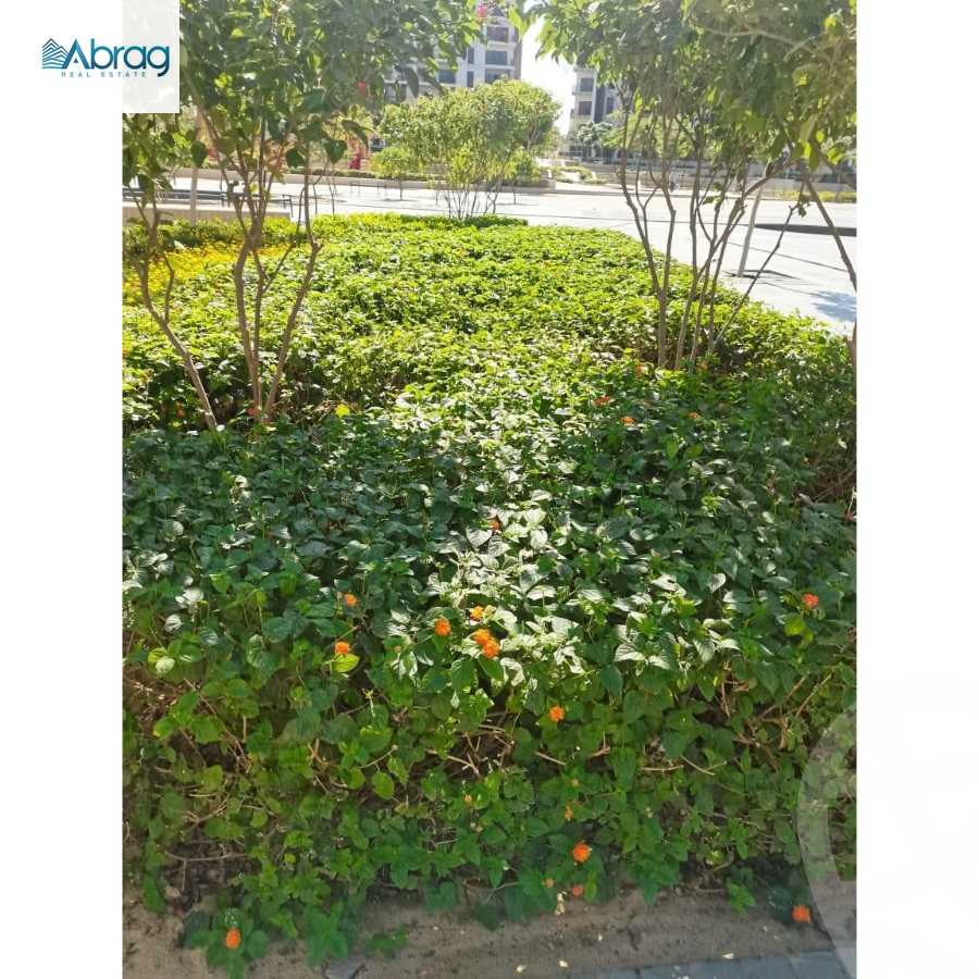 https://aqarmap.com.eg/ar/listing/6331551-for-sale-cairo-el-sheikh-zayed-city-compounds-zyd-wr-llttwyr-z-tower