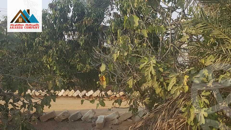 https://aqarmap.com.eg/ar/listing/2091910-for-sale-land-or-farm-cairo