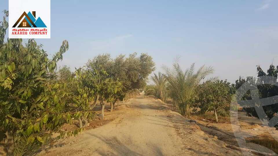 https://aqarmap.com.eg/ar/listing/2091910-for-sale-land-or-farm-cairo