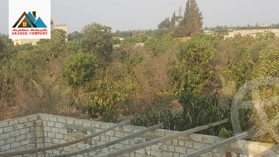 https://aqarmap.com.eg/ar/listing/2091910-for-sale-land-or-farm-cairo