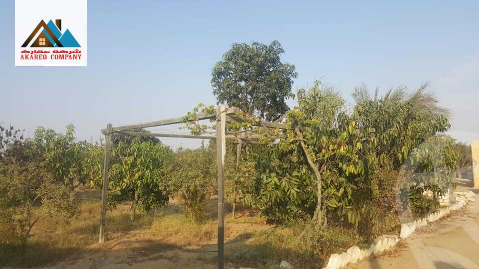 https://aqarmap.com.eg/ar/listing/2091910-for-sale-land-or-farm-cairo