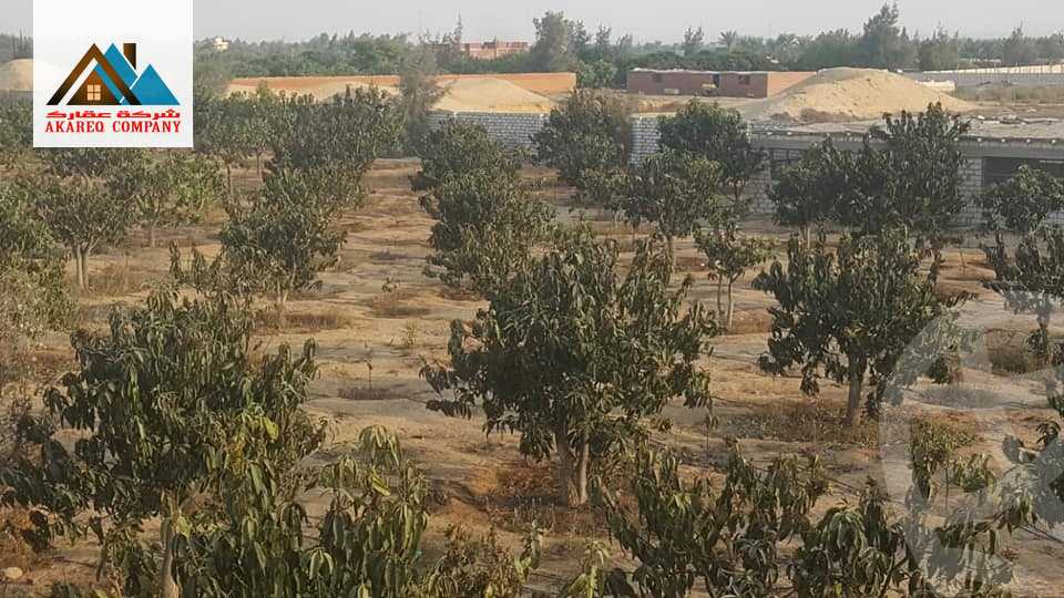 https://aqarmap.com.eg/ar/listing/2091910-for-sale-land-or-farm-cairo