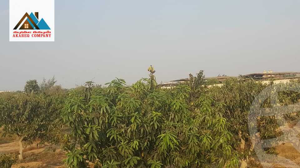 https://aqarmap.com.eg/ar/listing/2091910-for-sale-land-or-farm-cairo