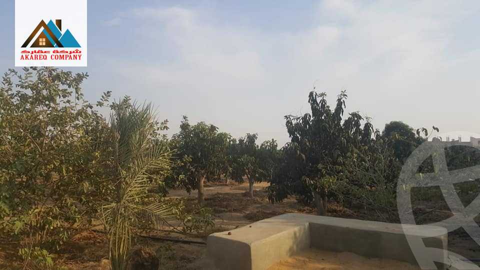https://aqarmap.com.eg/ar/listing/2091910-for-sale-land-or-farm-cairo