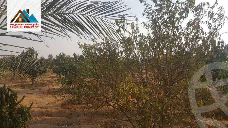 https://aqarmap.com.eg/ar/listing/2091910-for-sale-land-or-farm-cairo