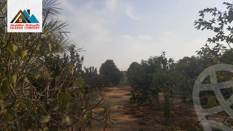 https://aqarmap.com.eg/ar/listing/2091910-for-sale-land-or-farm-cairo
