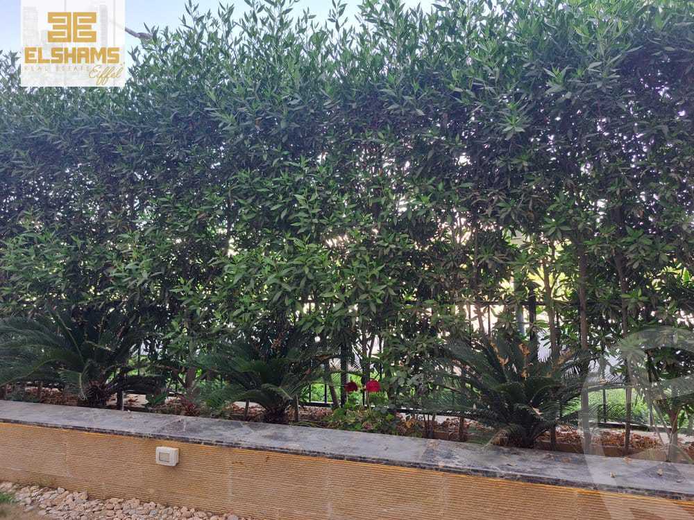 https://aqarmap.com.eg/en/listing/5814883-for-sale-cairo-new-cairo-compounds-mivida-mivida-business-park-emaar