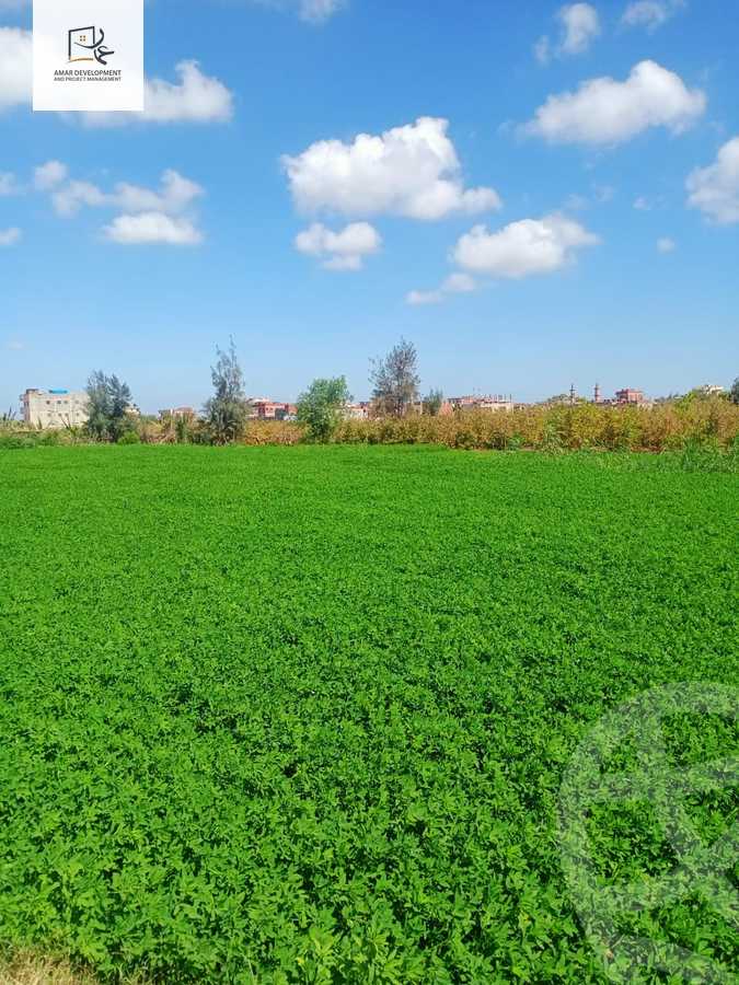 https://aqarmap.com.eg/ar/listing/4064189-for-sale-beheira-kafr-el-dawar-el-omaraa