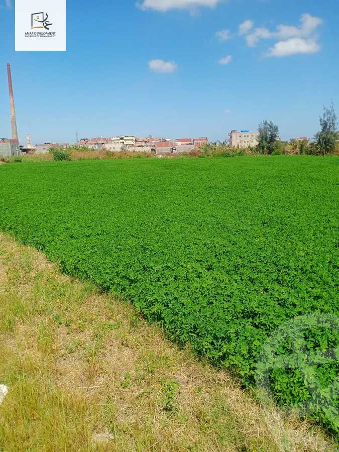 https://aqarmap.com.eg/ar/listing/4064189-for-sale-beheira-kafr-el-dawar-el-omaraa