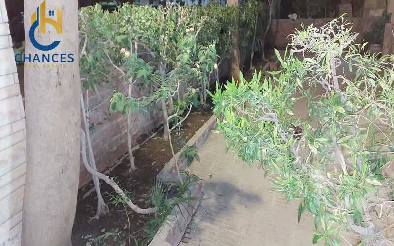 https://aqarmap.com.eg/en/listing/4002047-for-sale-cairo-el-maadi-el-maadi-el-gededa-el-gazaer