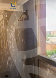 https://aqarmap.com.eg/en/listing/4236814-for-rent-cairo-el-maadi-autostrad