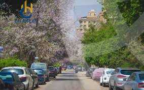 https://aqarmap.com.eg/en/listing/5524438-for-sale-cairo-el-maadi-el-maadi-el-qadema