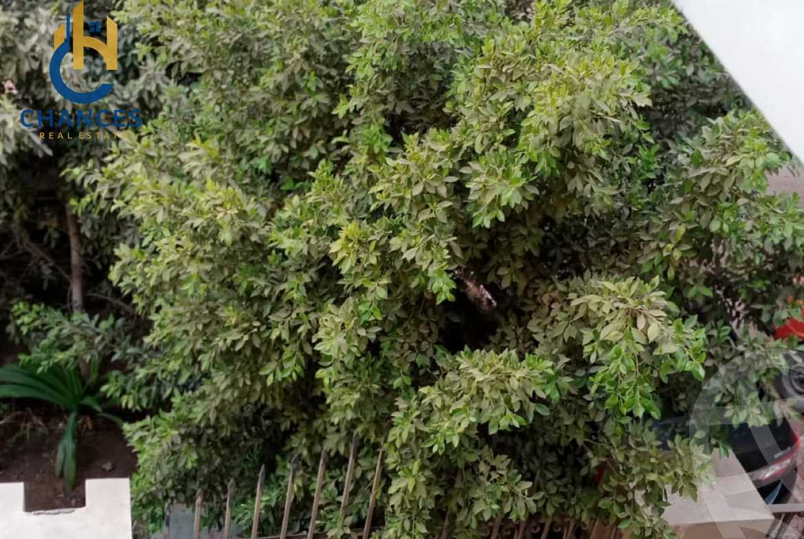 https://aqarmap.com.eg/en/listing/5901288-for-sale-cairo-el-maadi-el-maadi-el-gededa-el-lasilki