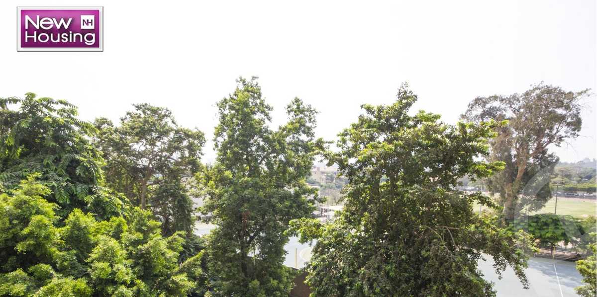https://aqarmap.com.eg/en/listing/4065581-for-rent-cairo-al-zamalek-elzamalek-elqibliya