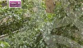https://aqarmap.com.eg/ar/listing/4326442-for-sale-cairo-al-zamalek-elzamalek-elqibliya