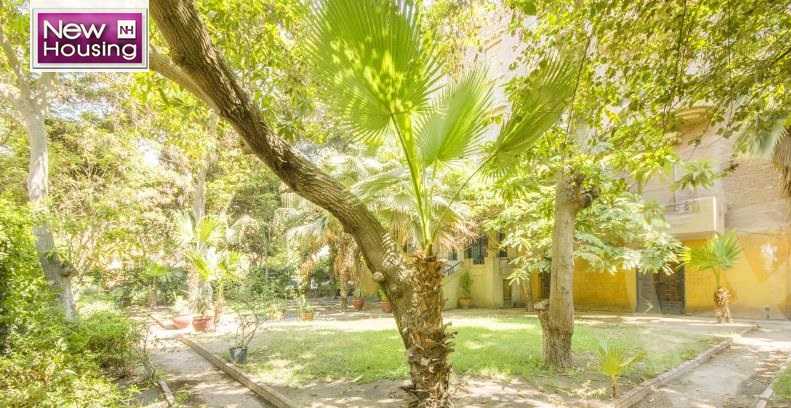 https://aqarmap.com.eg/ar/listing/4713900-for-sale-cairo-al-zamalek-elzamalek-elqibliya