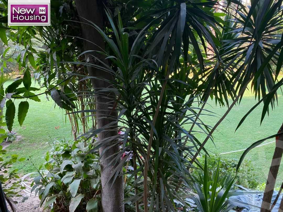 https://aqarmap.com.eg/en/listing/5238680-for-rent-cairo-al-zamalek-elzamalek-elqibliya
